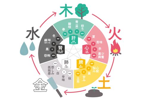 火日金水|五元素「木・火・土・金・水」の意味｜東洋医学と陰陽五行